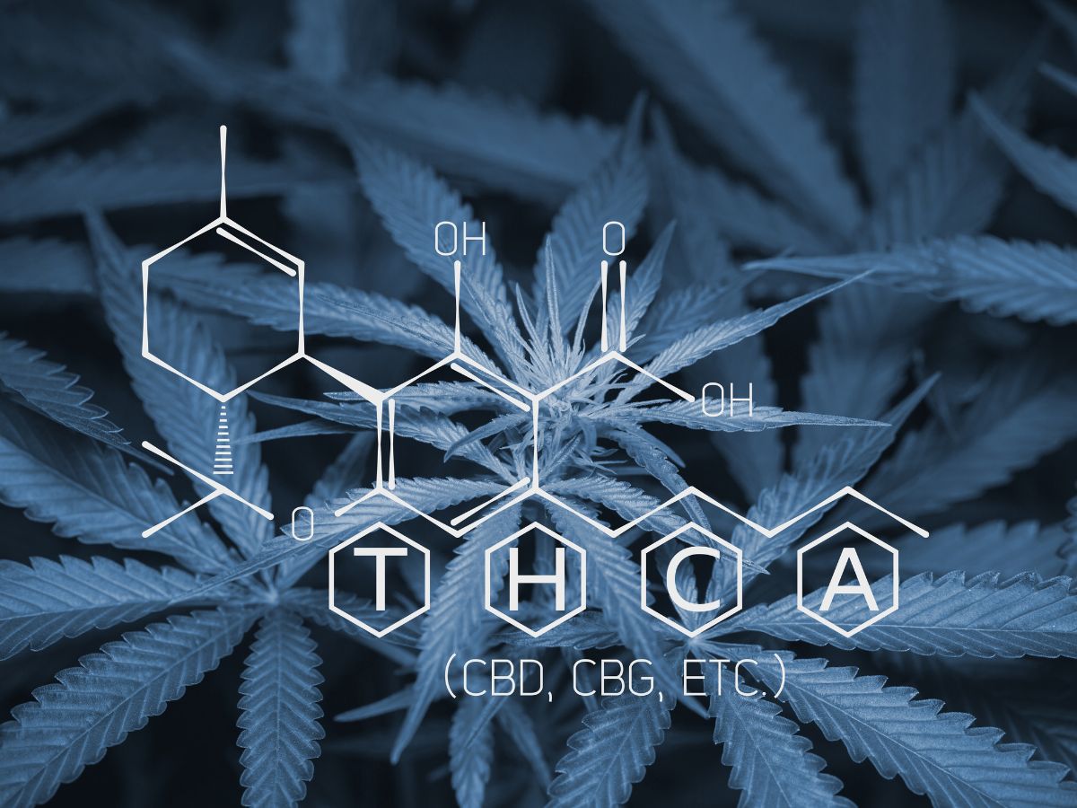 Benefits of THCa