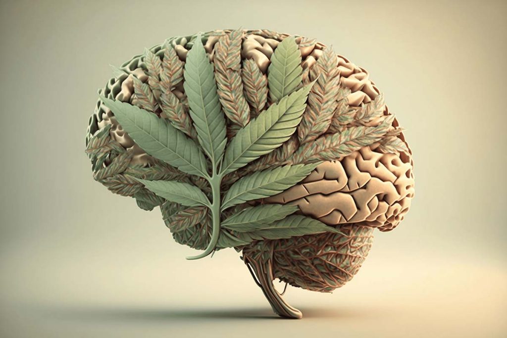 CBD American Shaman Mental Wellness